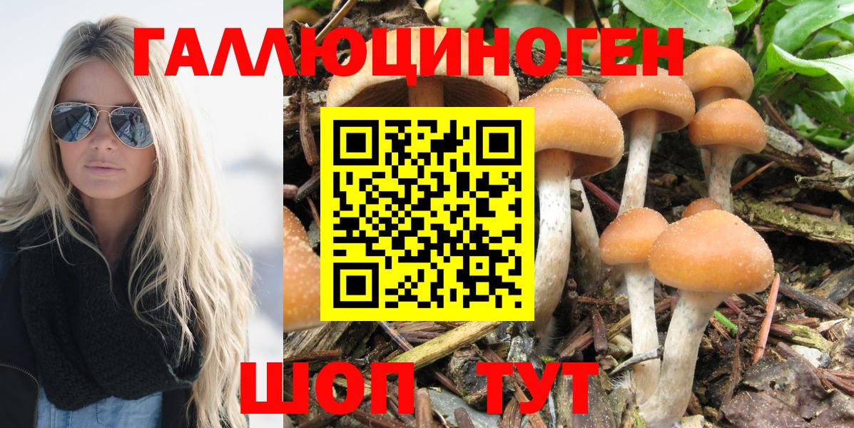 Усолье-Сибирское  Псилоцибиновые грибы Magic Shrooms  цена   Вход с VPN 